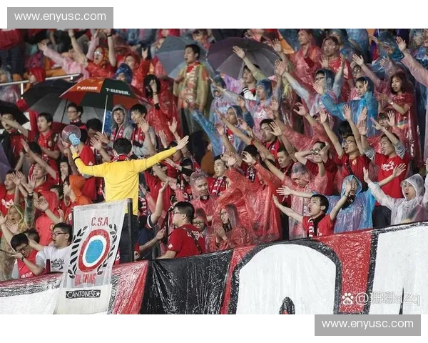 世界杯全程直播无广告体验让球迷畅享每一刻精彩比赛